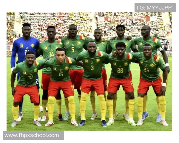 非洲杯激战喀麦隆对决贝宁精彩赛事回顾与分析